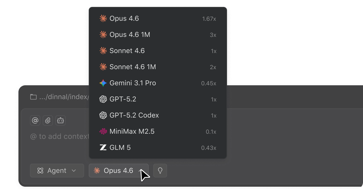 Leading Models Access