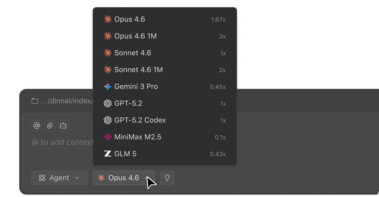 Leading Models Access